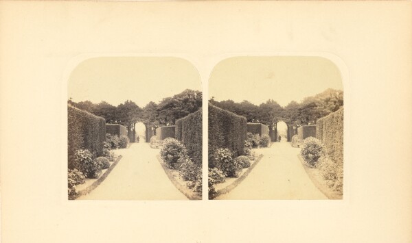 Roger Fenton, Gardens of Stonyhurst
