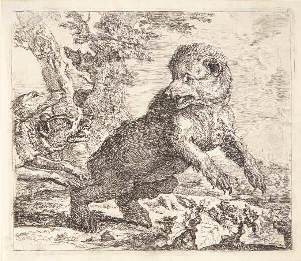 Abraham Hondius, Bjørn jagtet af hunde