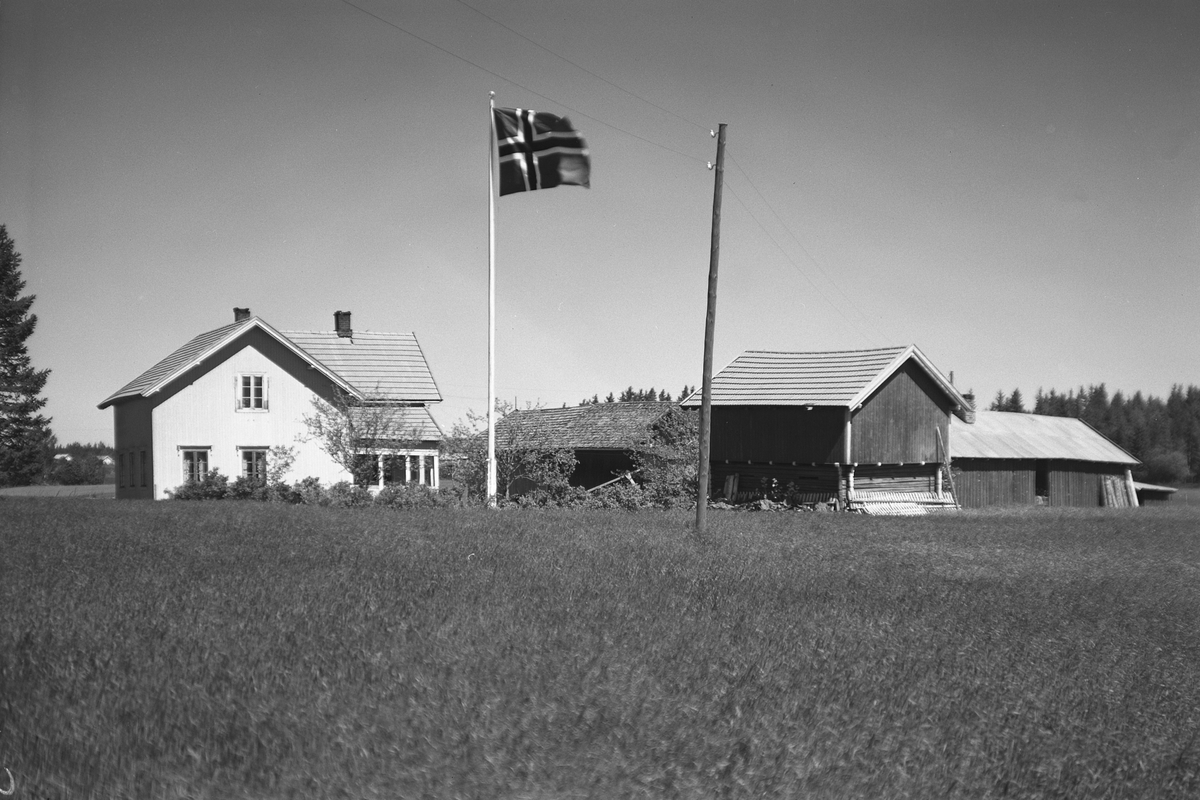 Anno Domkirkeodden, EKSTR: GARDSTUN, HOVLSLUND. Se Løtenboka, bind 2. Bygdeboka fra 1953, side 567