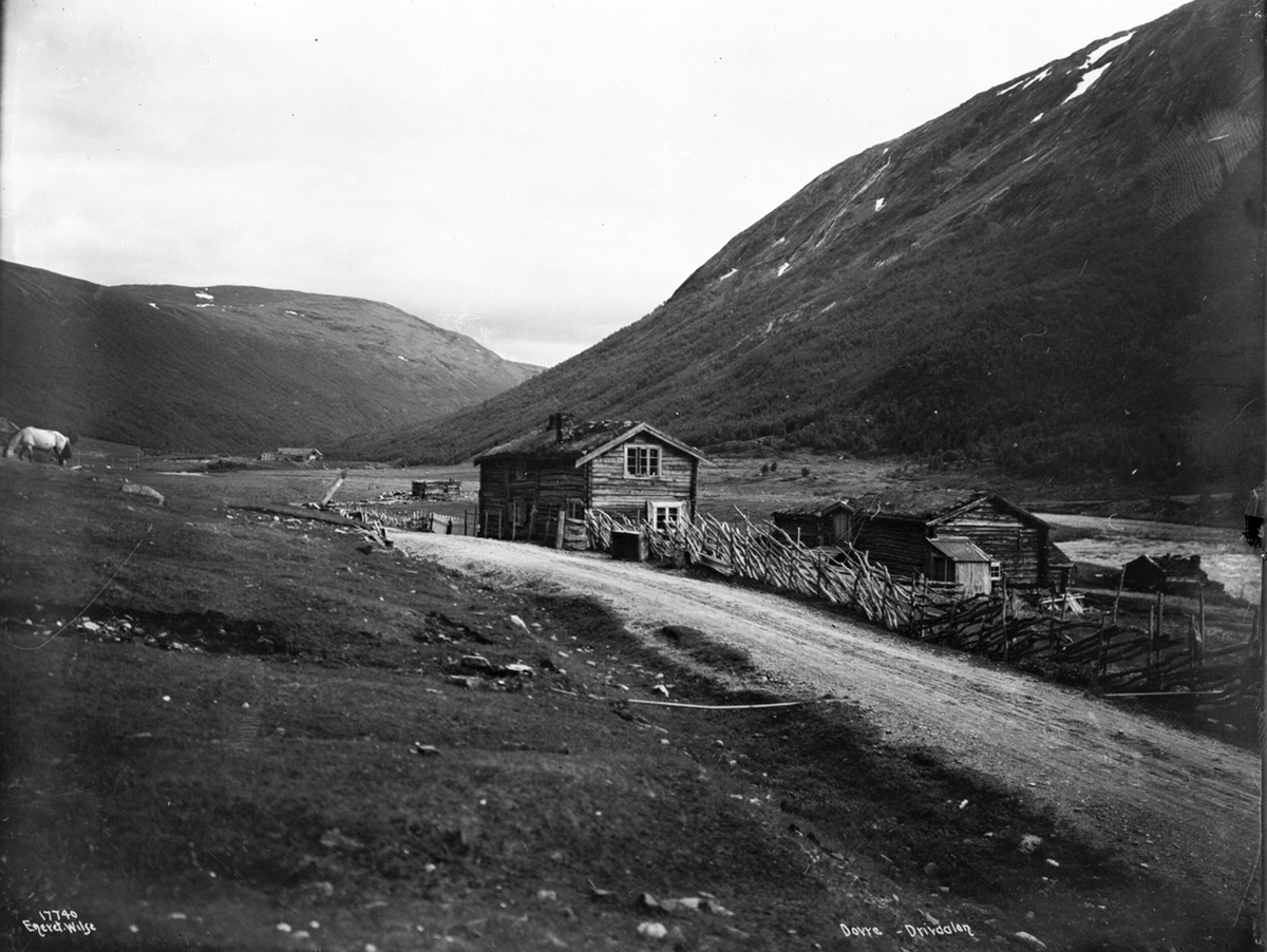 Anders Beer Wilse, Prot: Drivdalen Stue