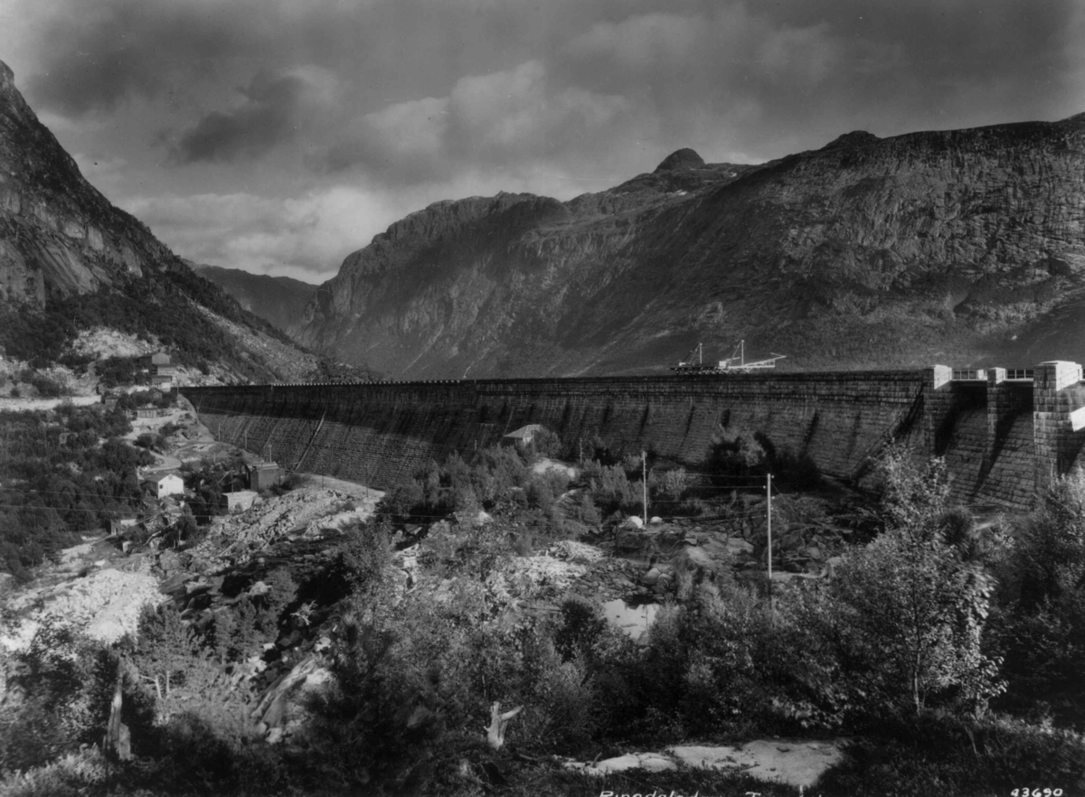 Anders Beer Wilse, Wilse original, ringdalsdammen, Ringedalsvatnet