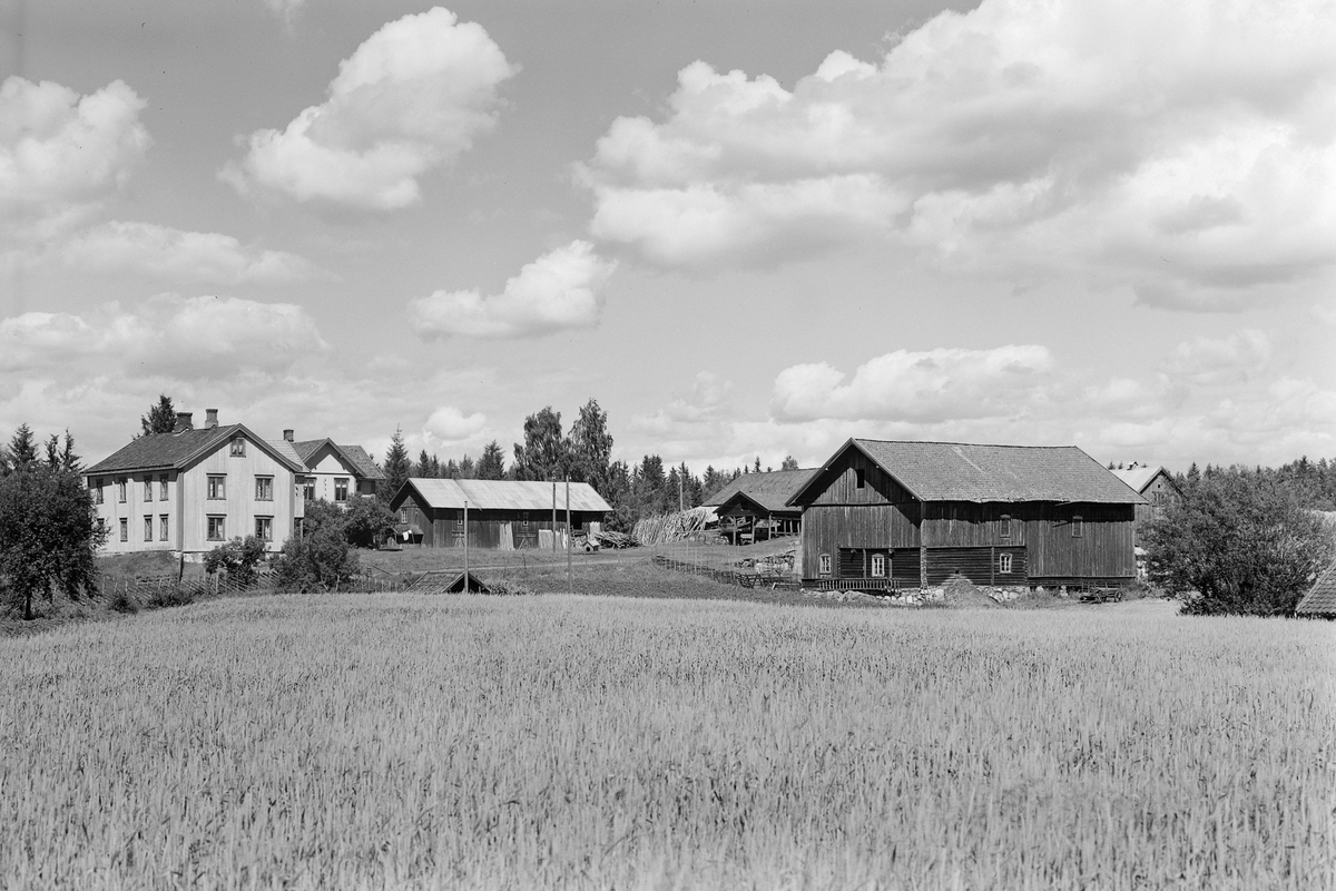Anno Domkirkeodden, EKSTR: GARDSTUN, HØLINGSTAD. Se Løtenboka, bind 3. Bygdeboka fra 1955, side 135