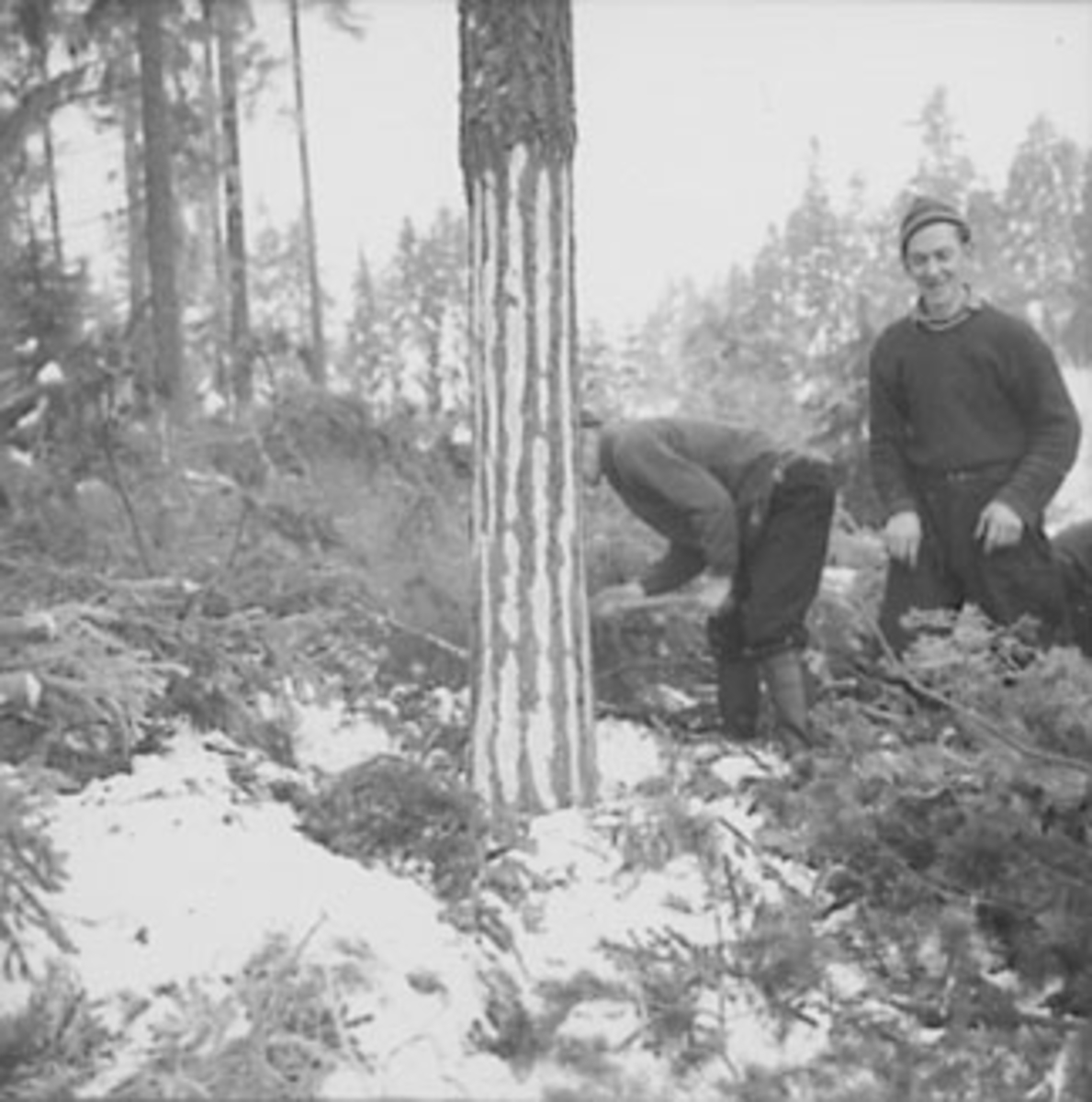 Anno Domkirkeodden, SKOGBRUK, TØMMERHUGGING, GRUPPE: 2 TØMMERHUGGERE, VINTER, SNEKKERSVEDRIFTA, PRESTMARKA, STANGE