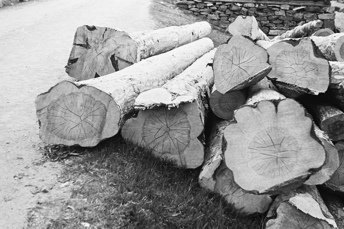 Anders Beer Wilse, Prot: Ulvik