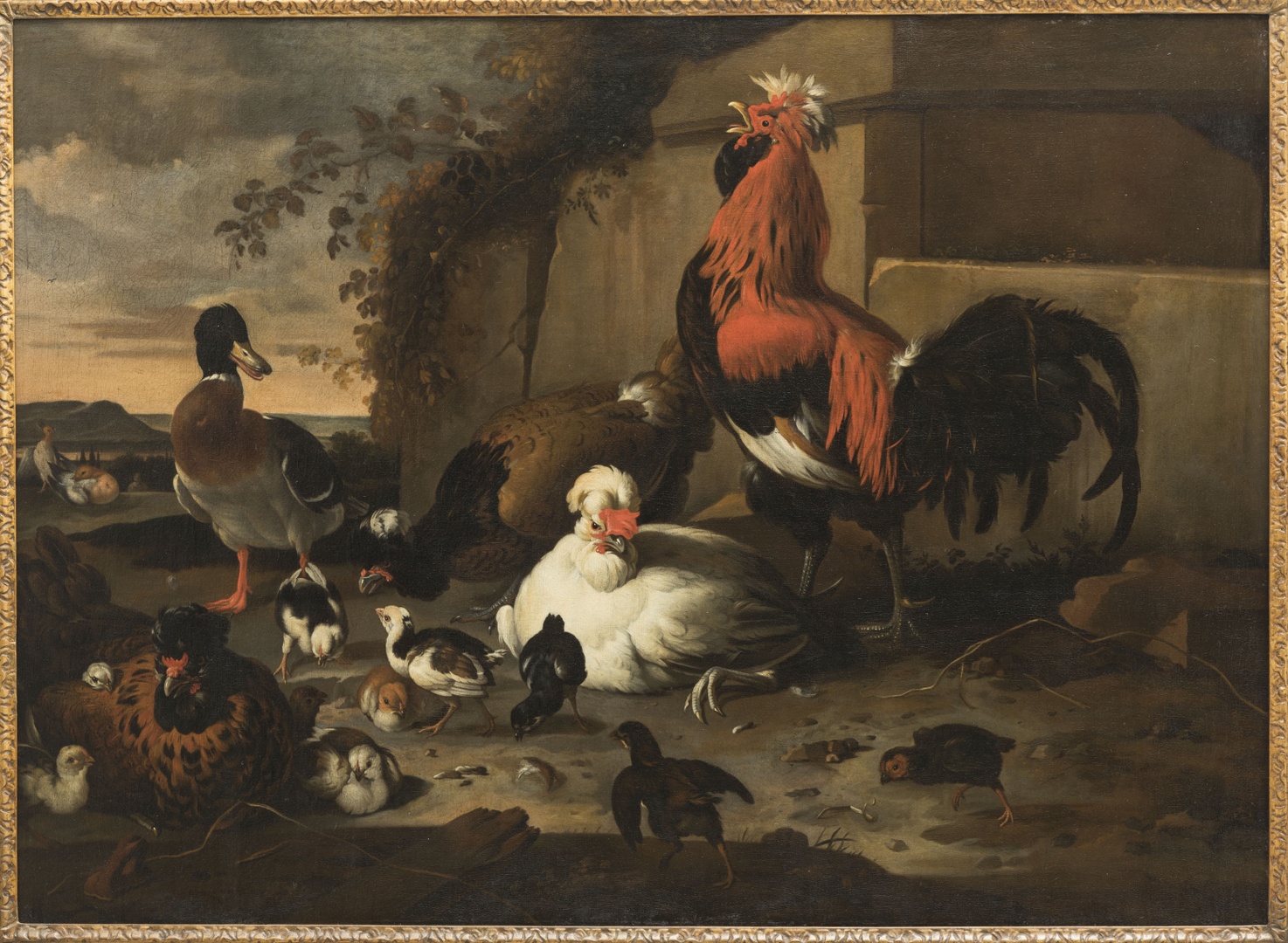 Melchior d'Hondecoeter, Pluimvee