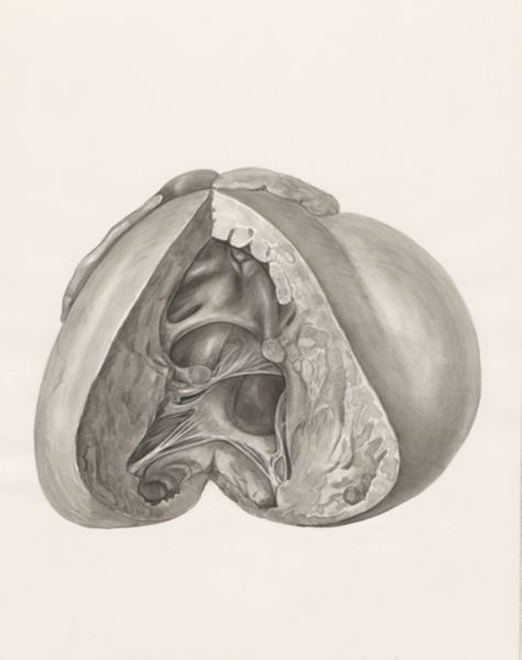 H.G Wetselaar, Heart