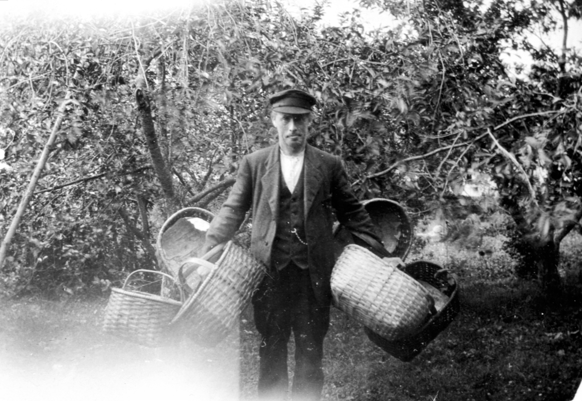 Anno Domkirkeodden, Rudolf Evensen Raknerud (1884-1965) fra Raknerud søndre med flettekurver på armen. Slike kurver var vanlige å plukke bæra i. Begge Raknerudgardene hadde store morellhager.