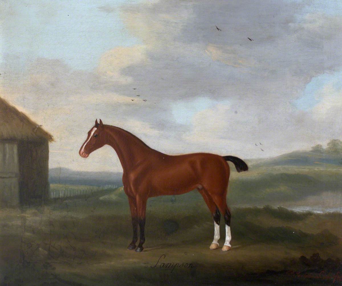 Francis Sartorius, 'Sampson', a Bay Horse, with two white socks