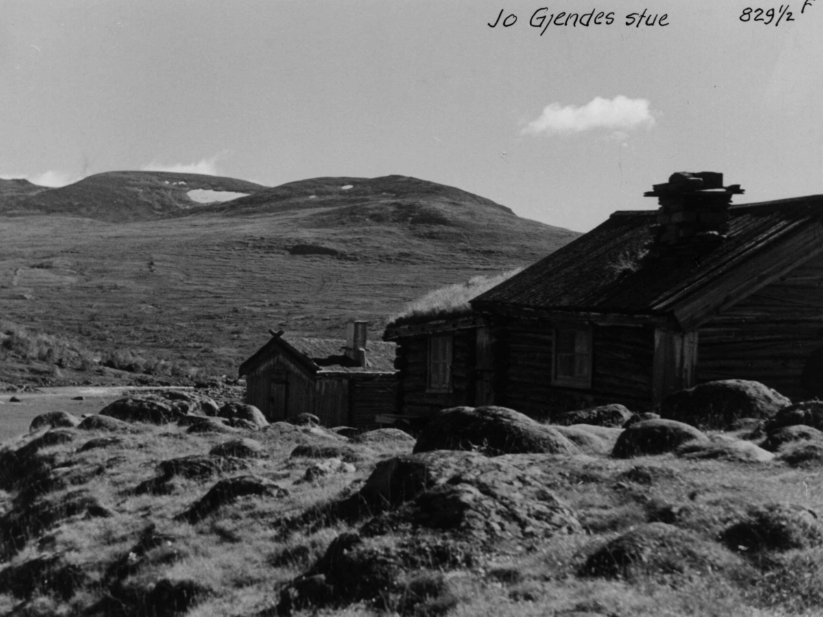 Anders Beer Wilse, Jotunheimen, Jo Gjendes stue