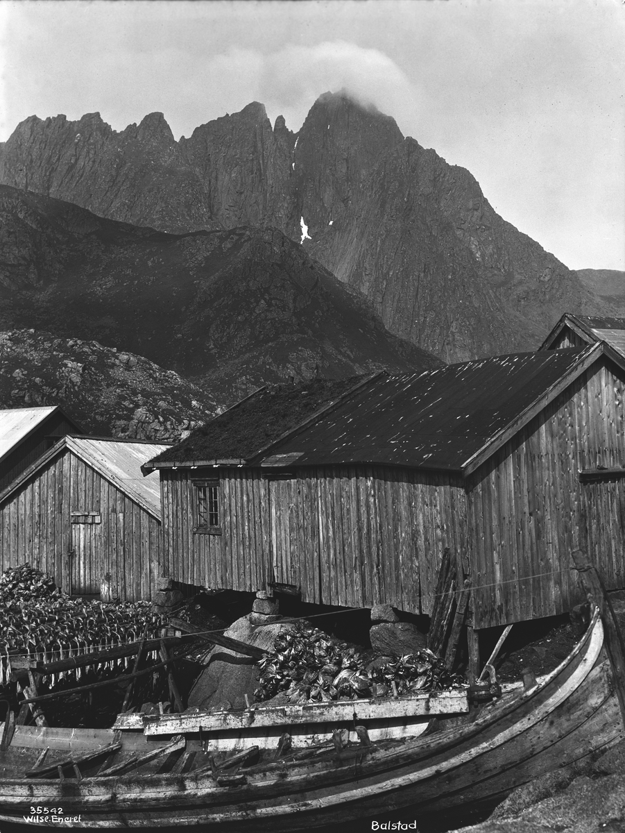 Anders Beer Wilse, Prot: Balstad, rorboder