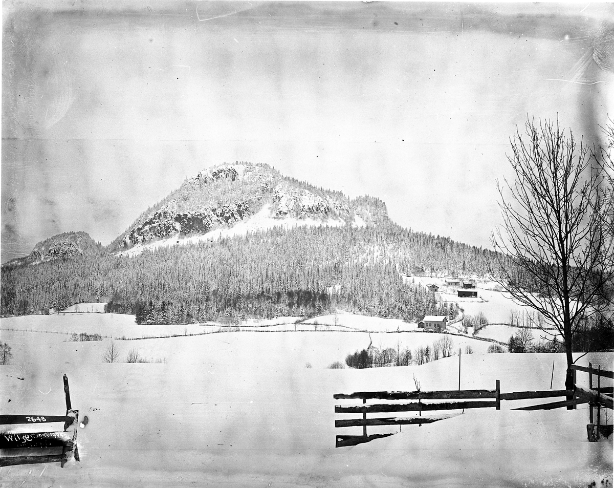 Anders Beer Wilse, Prot: Sandviken - Kolsaas 16/2 1904