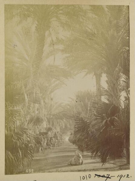 Unknown, Photograph