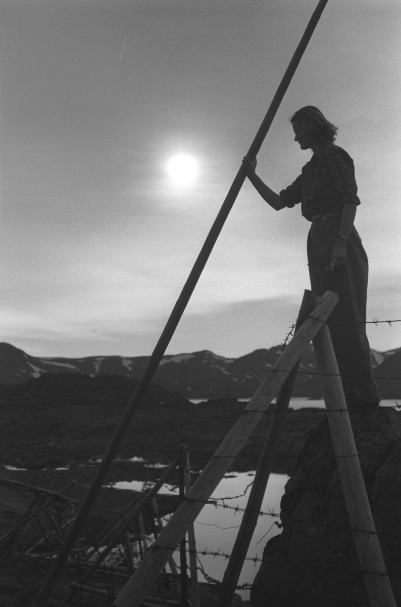 Ola Hanche-Olsen, NO.F003967