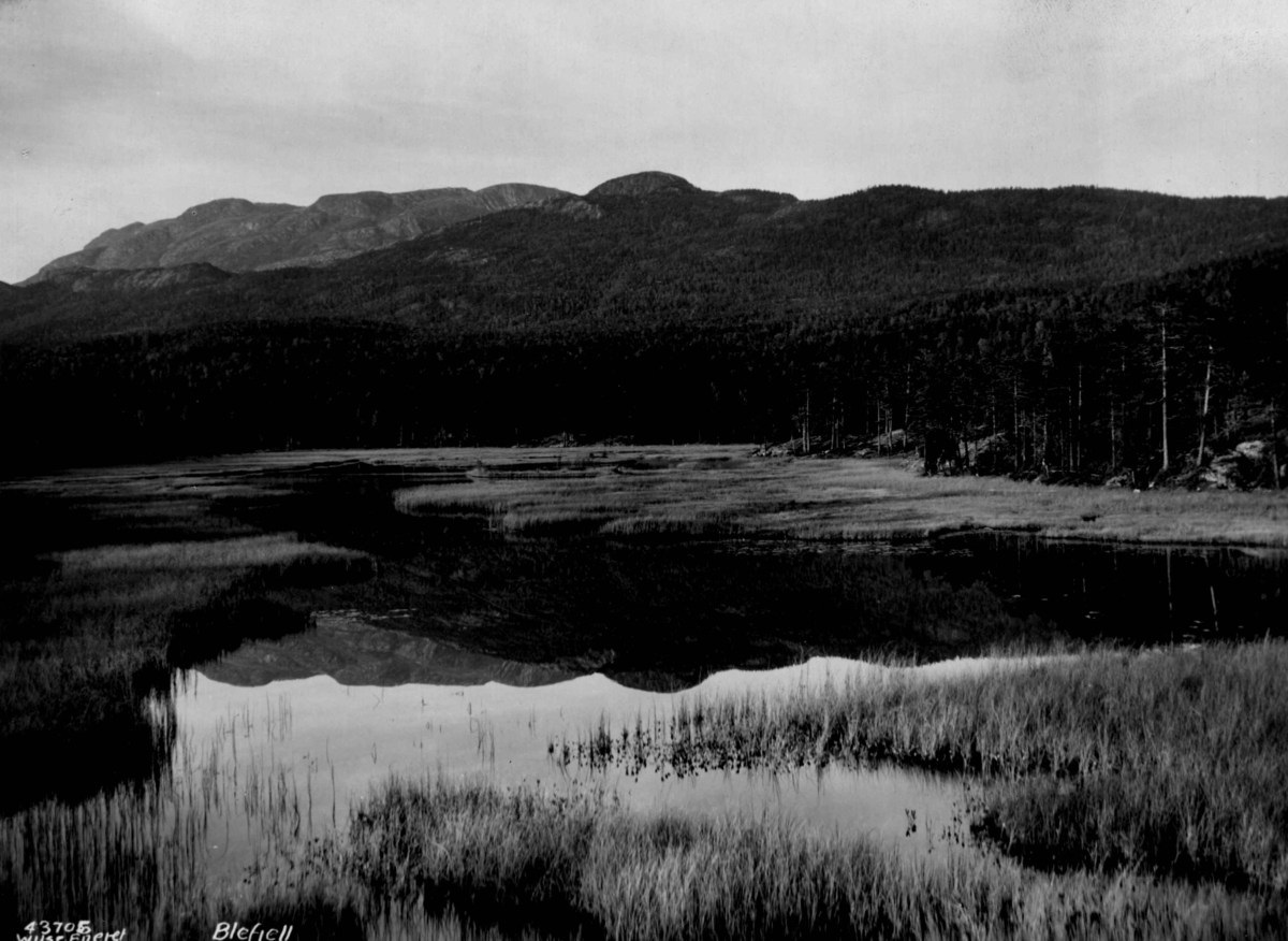 Anders Beer Wilse, Landskap med vann og fjell på Blefjell.