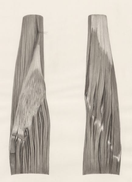 J Tinkelenberg, Muscular tissue