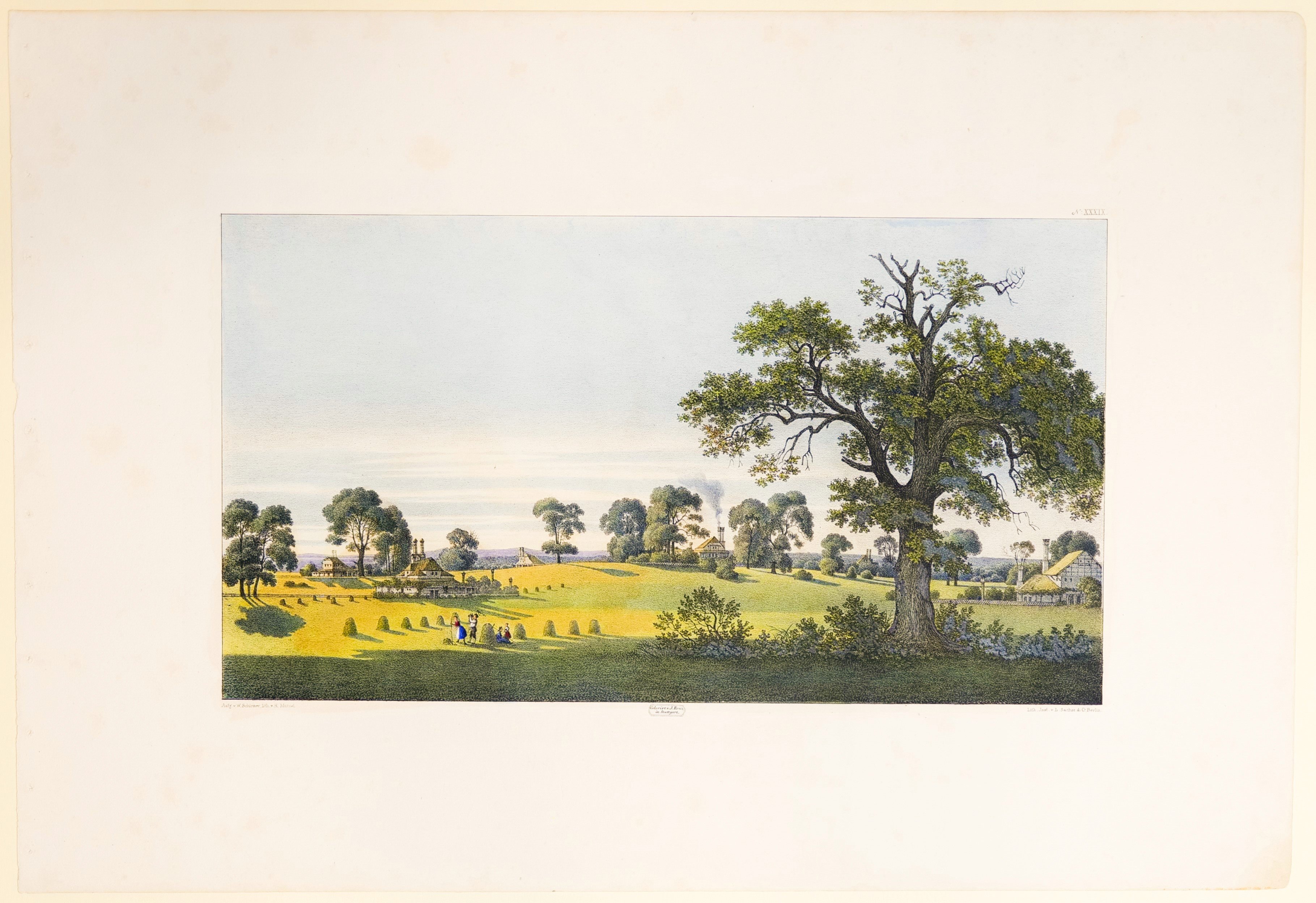 Heinrich Mützel, Cottage der Colonie Gobelin, Tafel XXXIX der "Andeutungen über Landschaftsgärtnerei"