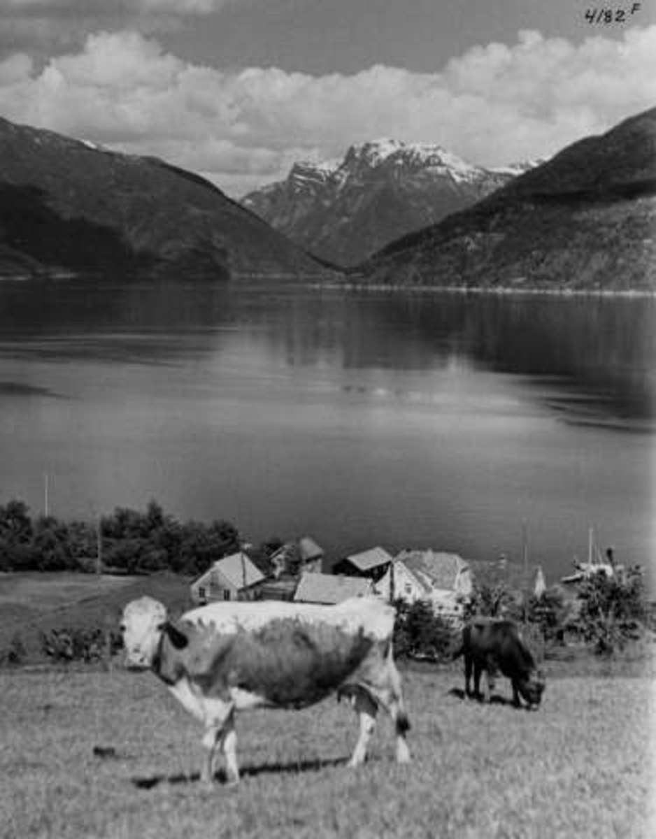 Anders Beer Wilse, -7269
