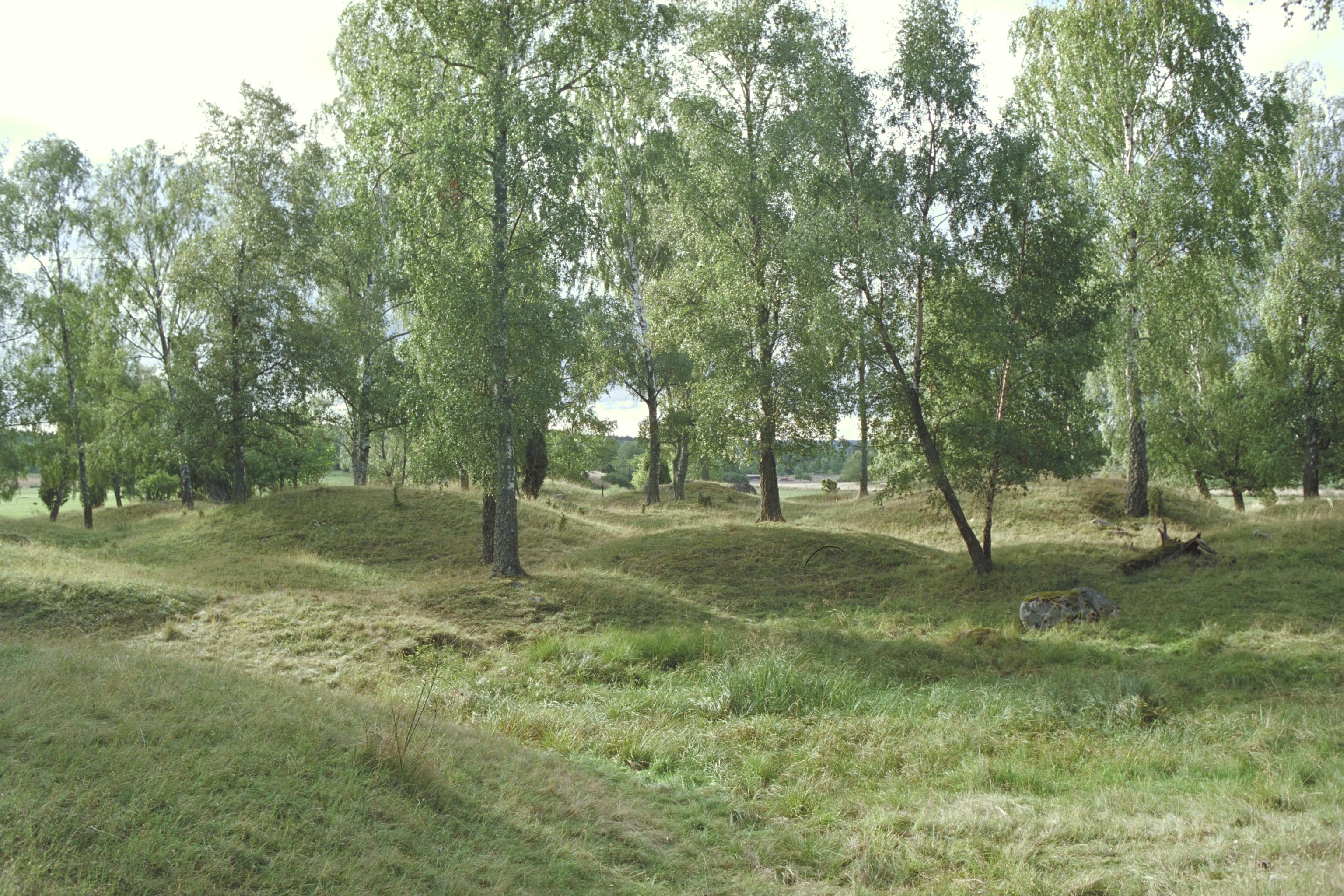 Bengt A Lundberg, Björkö-Birka