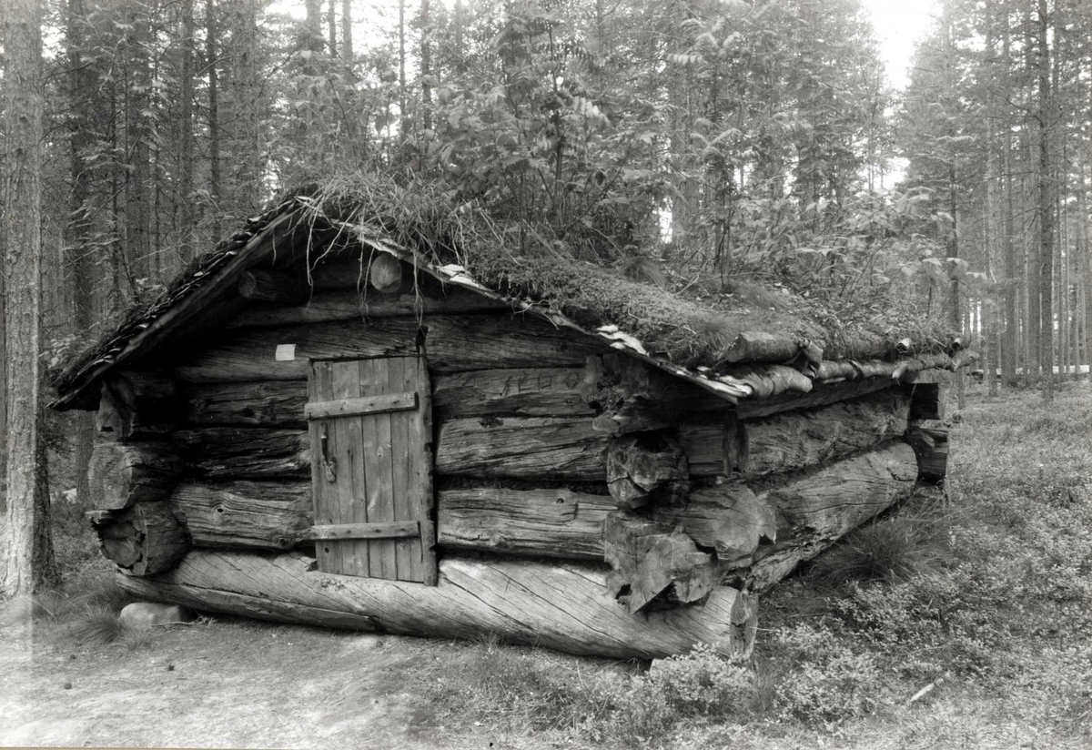 Gisle Midttun, Slemdal, Åmot, Sør-Østerdal, Hedmark. Tømmerkoie. Nå på Glomdalsmuseet.