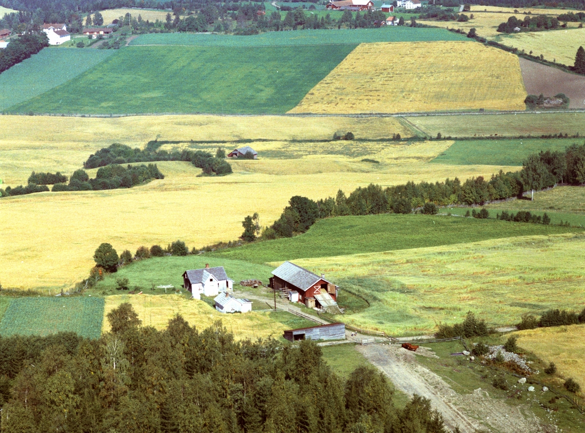 Widerøes Flyveselskap A/S, Flyfoto, Engeskaug øvre, Gaupen, Ringsaker.