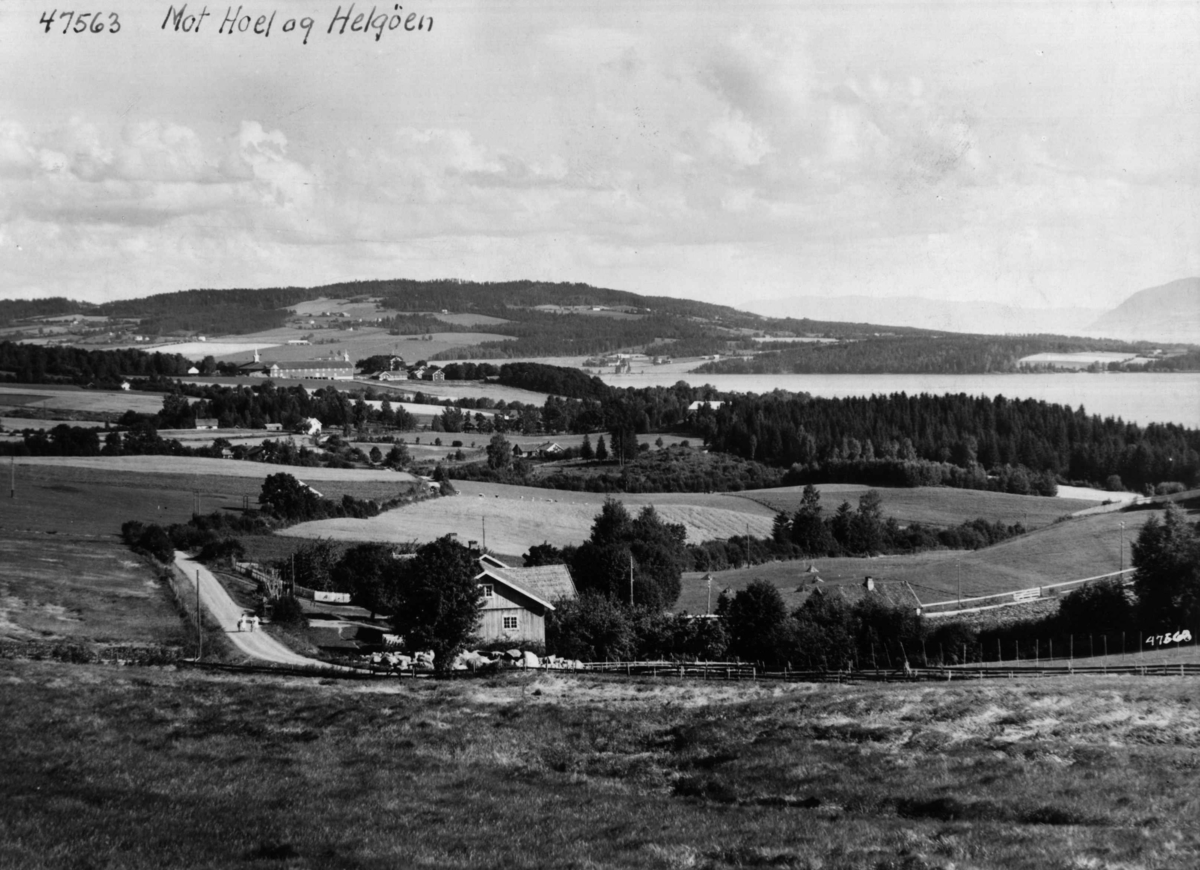 Anders Beer Wilse, Landskap Ringsaker
