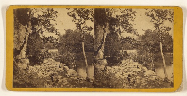 Edward and Henry T. Anthony & Co., View on the French Broad River.