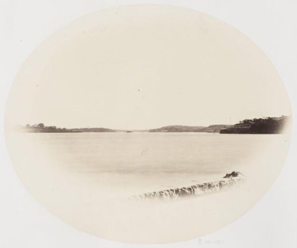 unknown, Photograph