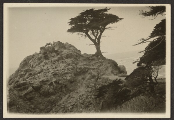 Louis Fleckenstein, [Landscape with Lone Cypress]