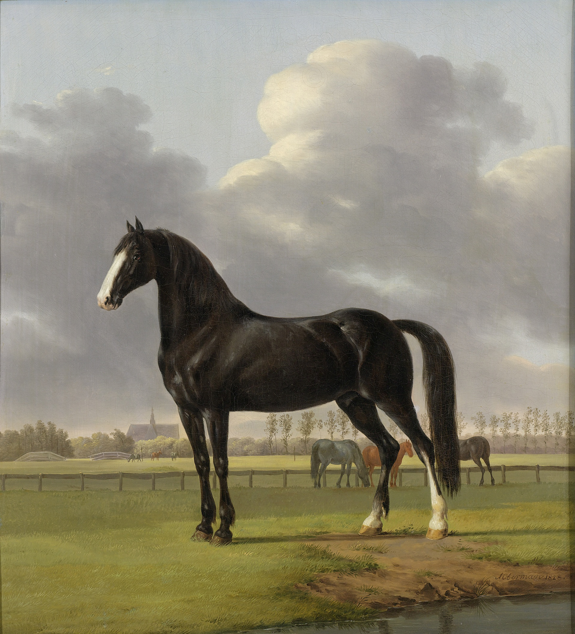 Anthony Oberman, Adriaan van der Hoop’s Trotter ‘De Vlugge’ (The Fast One) in a Meadow