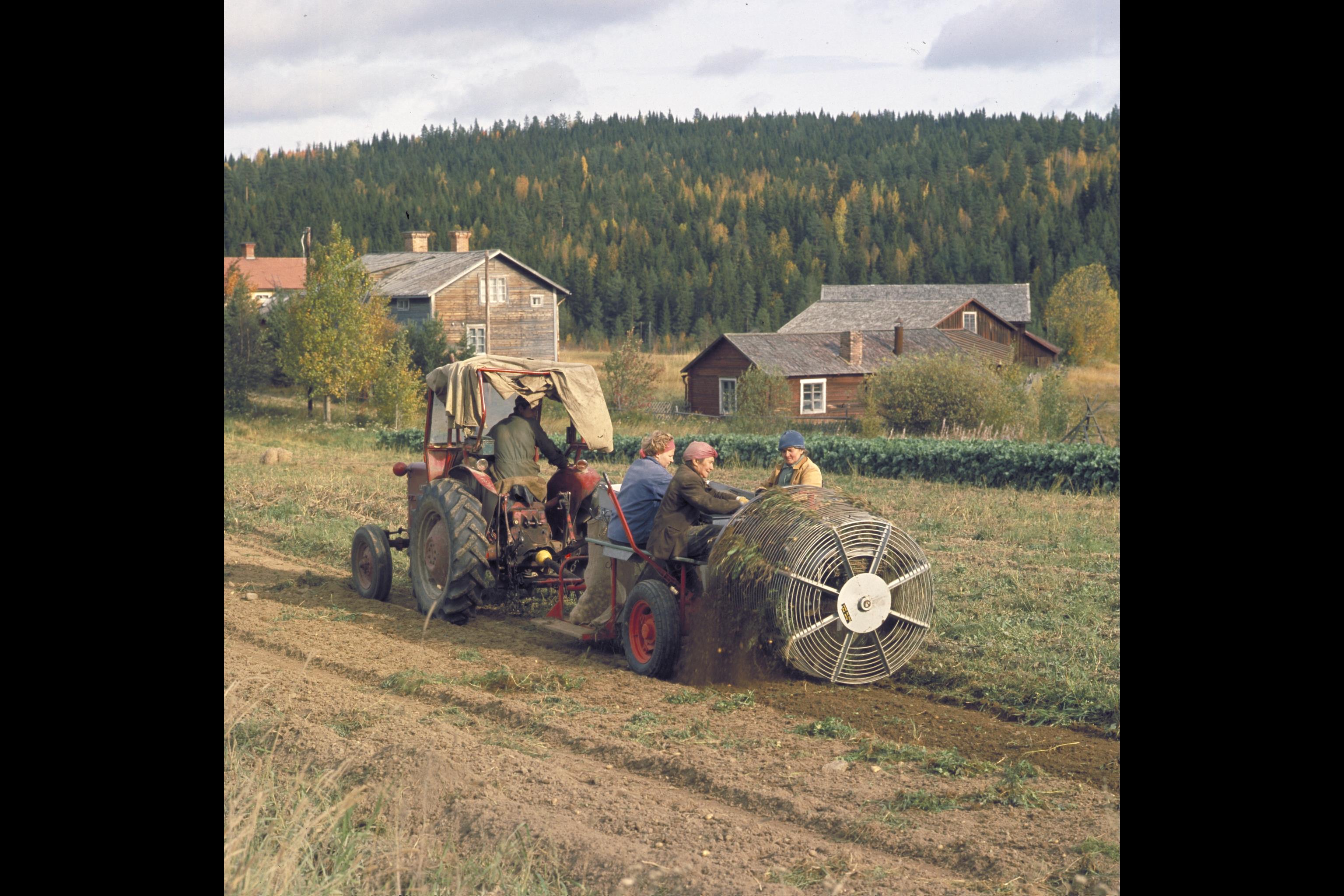 Pål-Nils Nilsson, Ångermanland