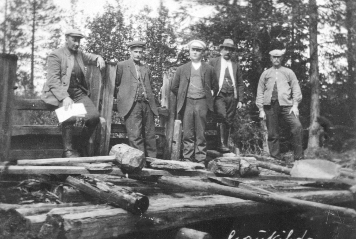 Anno Domkirkeodden, DEMNING, GAUKILDAMMEN, GRUPPE: 5 MENN PÅ BEFARING, ROMEDAL ALLMENNING