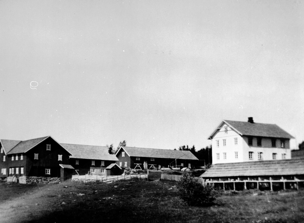 Anno Domkirkeodden, Eksteriør. Gardsbruk. Bjørklien søndre, Åsmarka, Ringsaker. Låven, fjøset, utedo, hovedbygning. Vippebrønn.