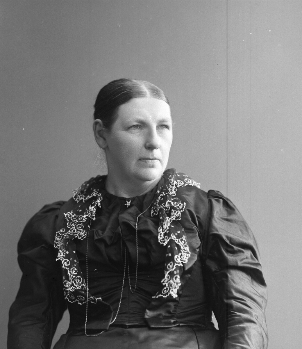 Gustav Borgen, NFB.25399
