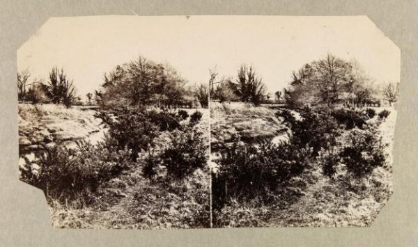 Clementina, Lady Hawarden, Photograph