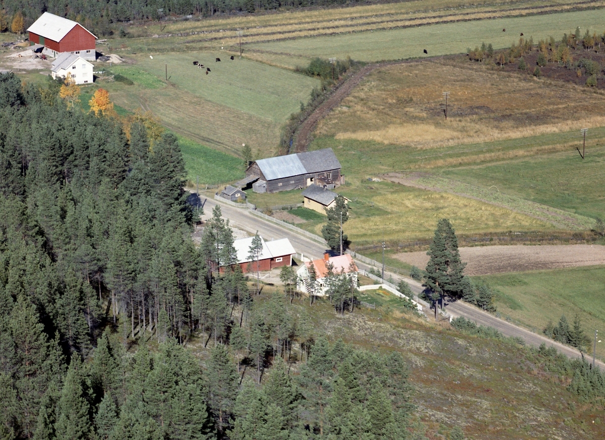 Widerøes Flyveselskap A/S, Gardsbruk