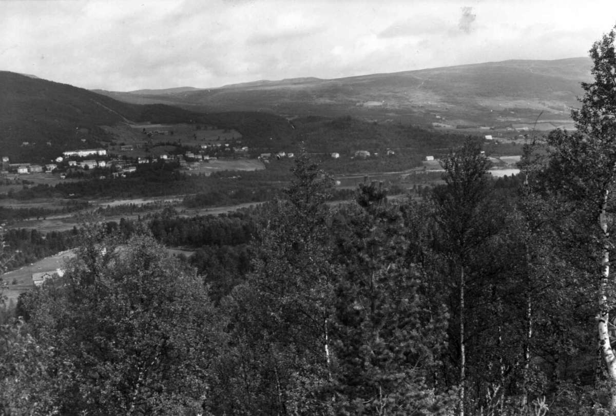 Hermann Christian Neupert, Geilo, Hallingdal. Oversiktsbilde av bygda, skog, åser og fjell. Bebyggelse.
