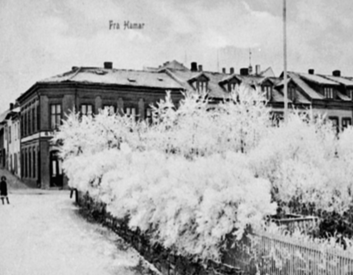 Anno Domkirkeodden, STRANDGATA 37 MED O. STERUDS FORRETNING, HAAKONSGATE, HÅKONSGATE, VINTER