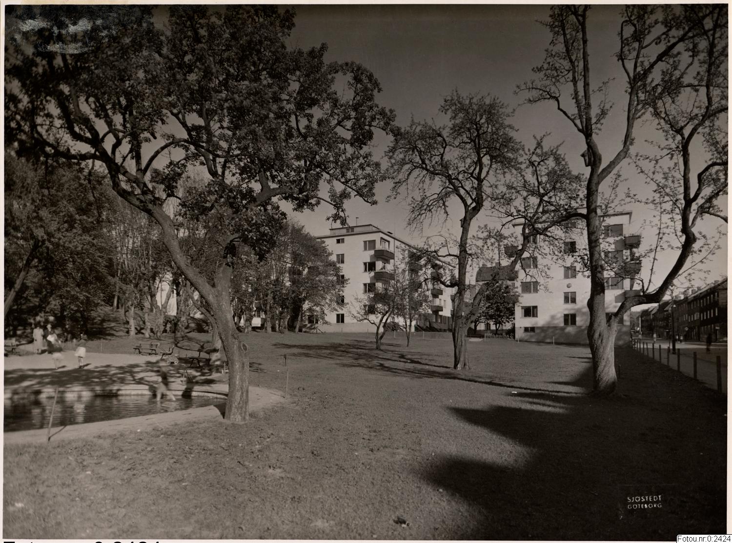 Sven Sjöstedt, fotografi, bilder