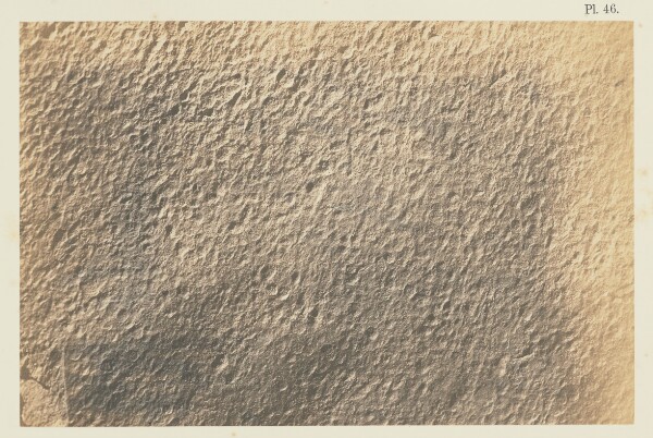 Unknown, Plate 46