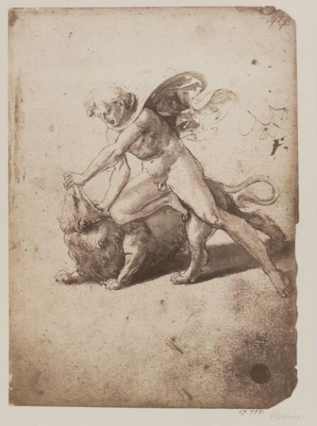 Fratelli Alinari, Photograph