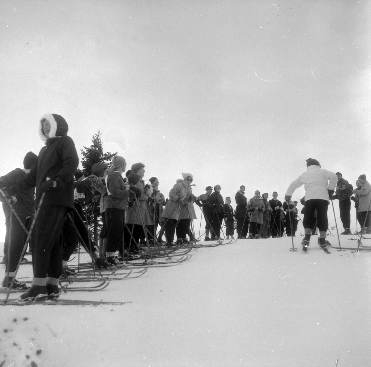Adolf Skjegstad, ASK-04422