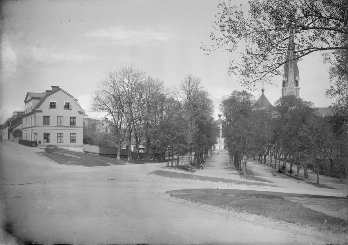 Henri Osti's Fotografiateliér, Odinslund från Slottsbacken, Uppsala 1901