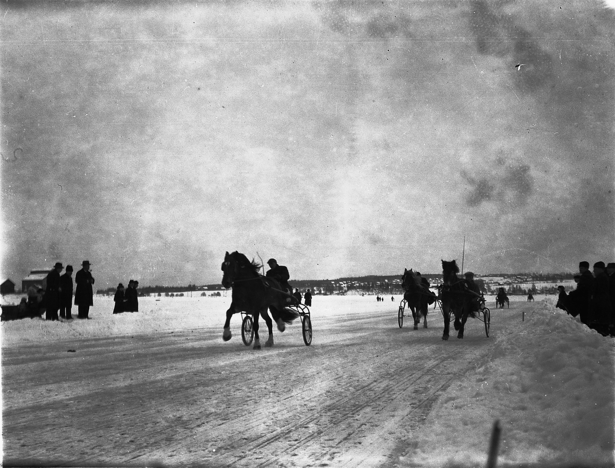 Ragnvald Andersen, Veslemjøsa. Travløp på isen på Mjøsa.