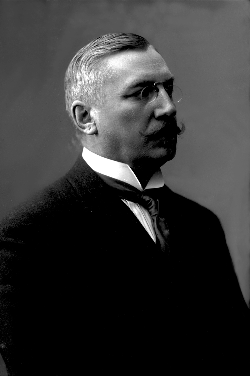 Gustav Borgen, Portrett, dr Laurits Waldemar Schibbye.
