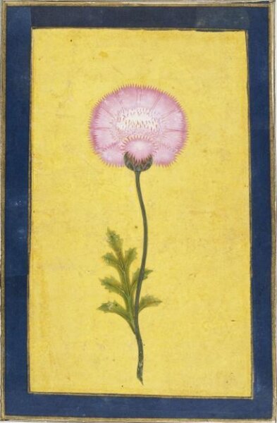 Unknown, Painting