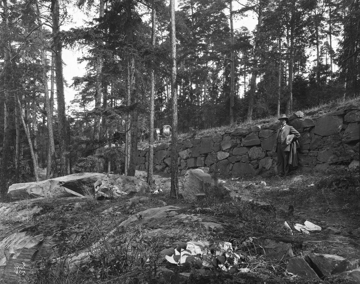 Anders Beer Wilse, Konv: Aastedsbefaring Bygdø