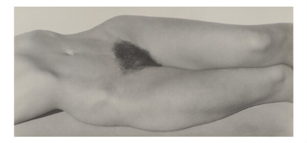 Alfred Stieglitz, Georgia O'Keeffe: A Portrait