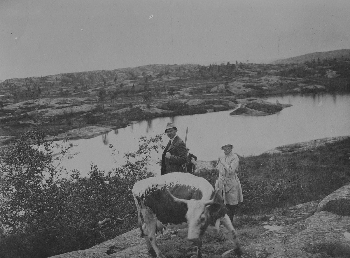 Anders Beer Wilse, Konv: Johs. Lindvik