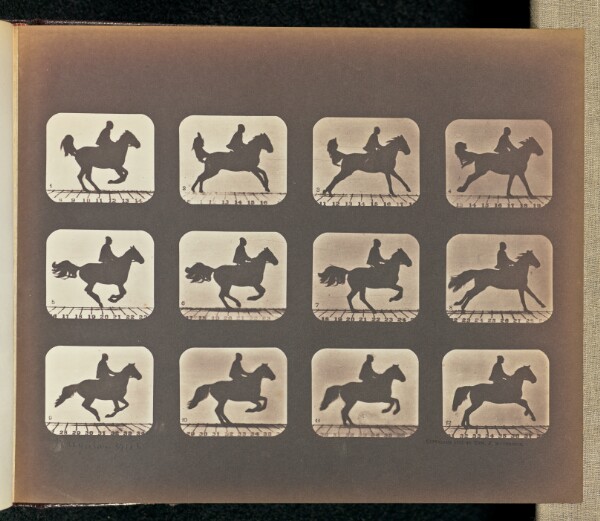 Eadweard J. Muybridge, Irregular Gait