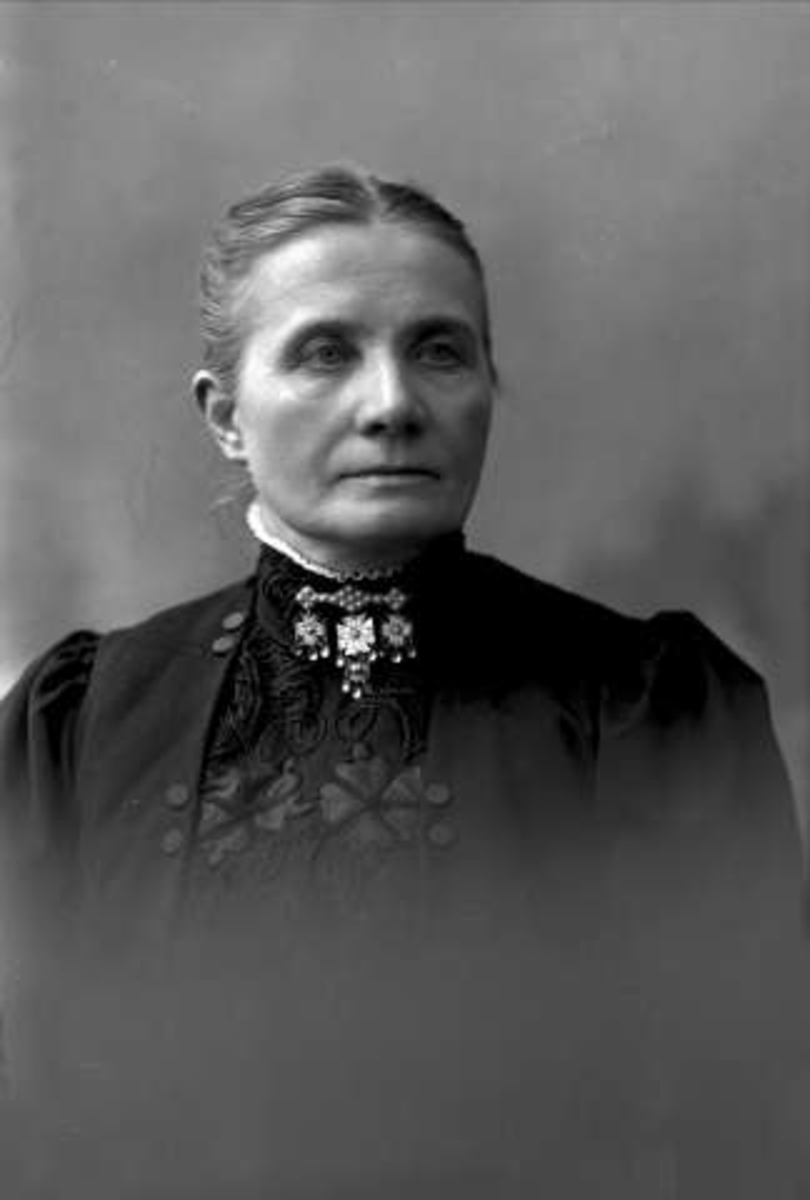 Gustav Borgen, NFB.01454